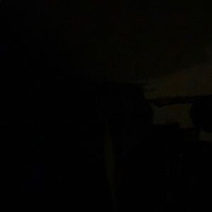 Meet your Posher, Lenin